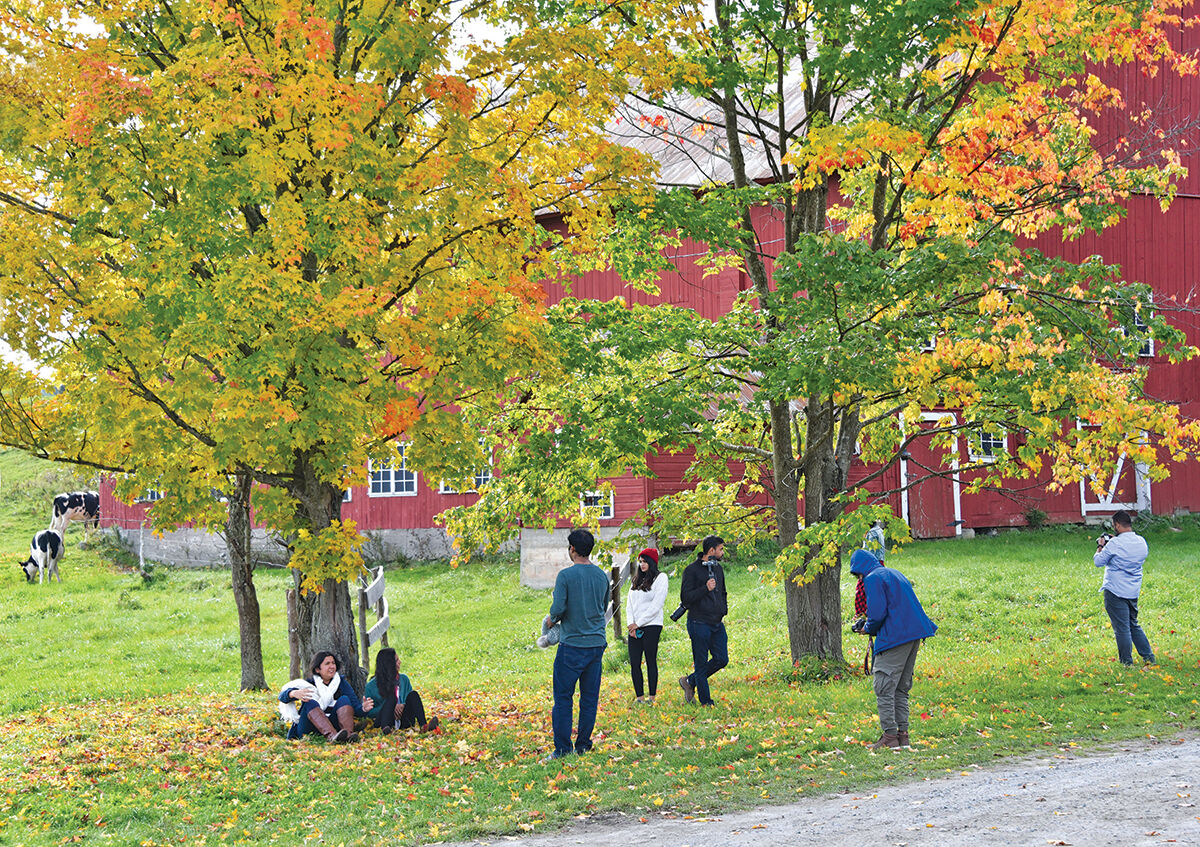 Vermont fall